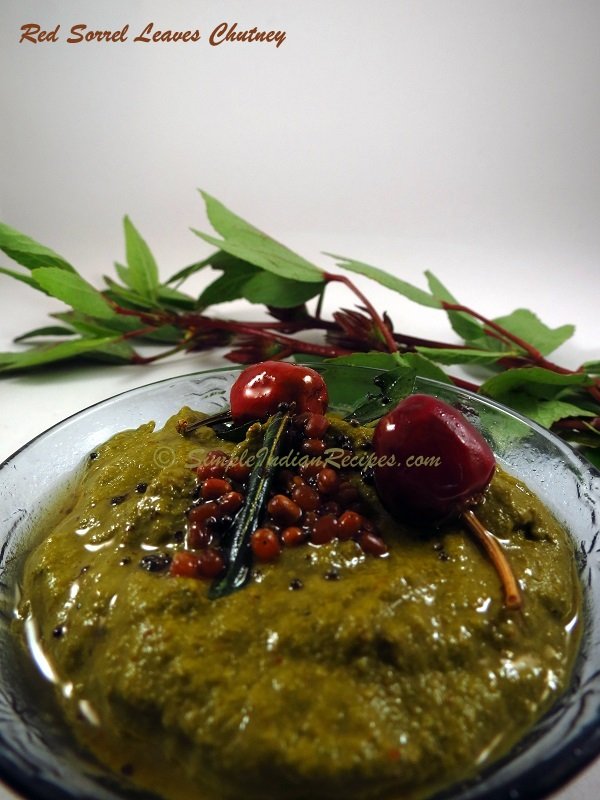 Red Sorrel Leaves Chutney Gongura Pachadi Simple Indian Recipes